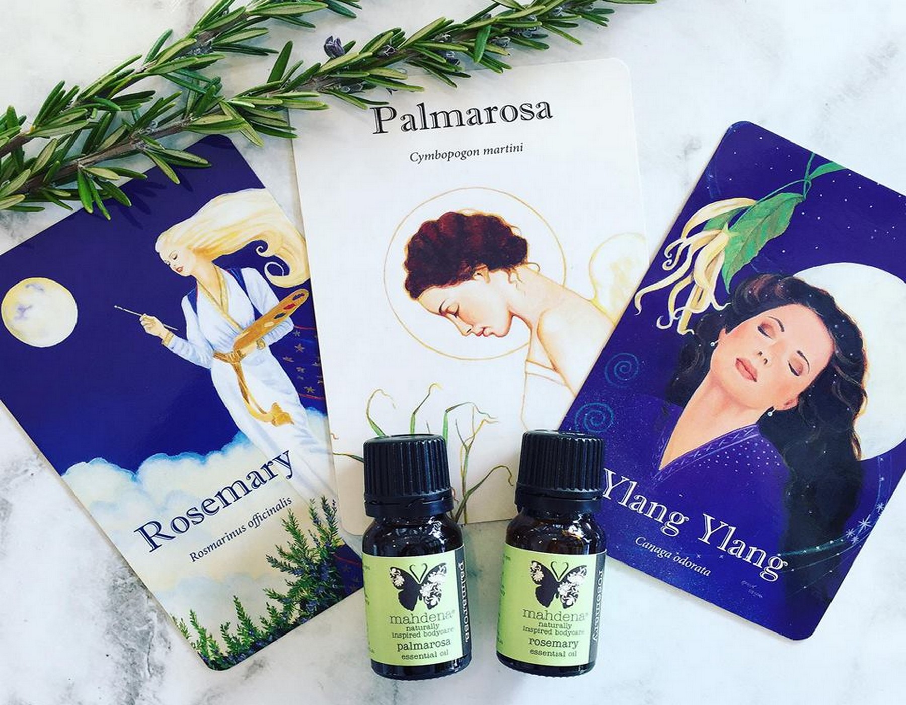 Having fun with aromatherapy cards